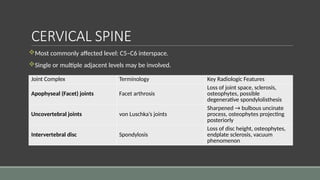 Single Interspace Arthritis in children and young adult - overview | PPTX