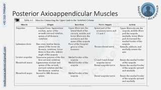 Gross Anatomy of Upper Limb review by Medicose Academics | PPTX