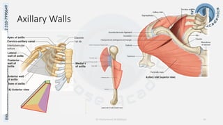 Gross Anatomy of Upper Limb review by Medicose Academics | PPTX