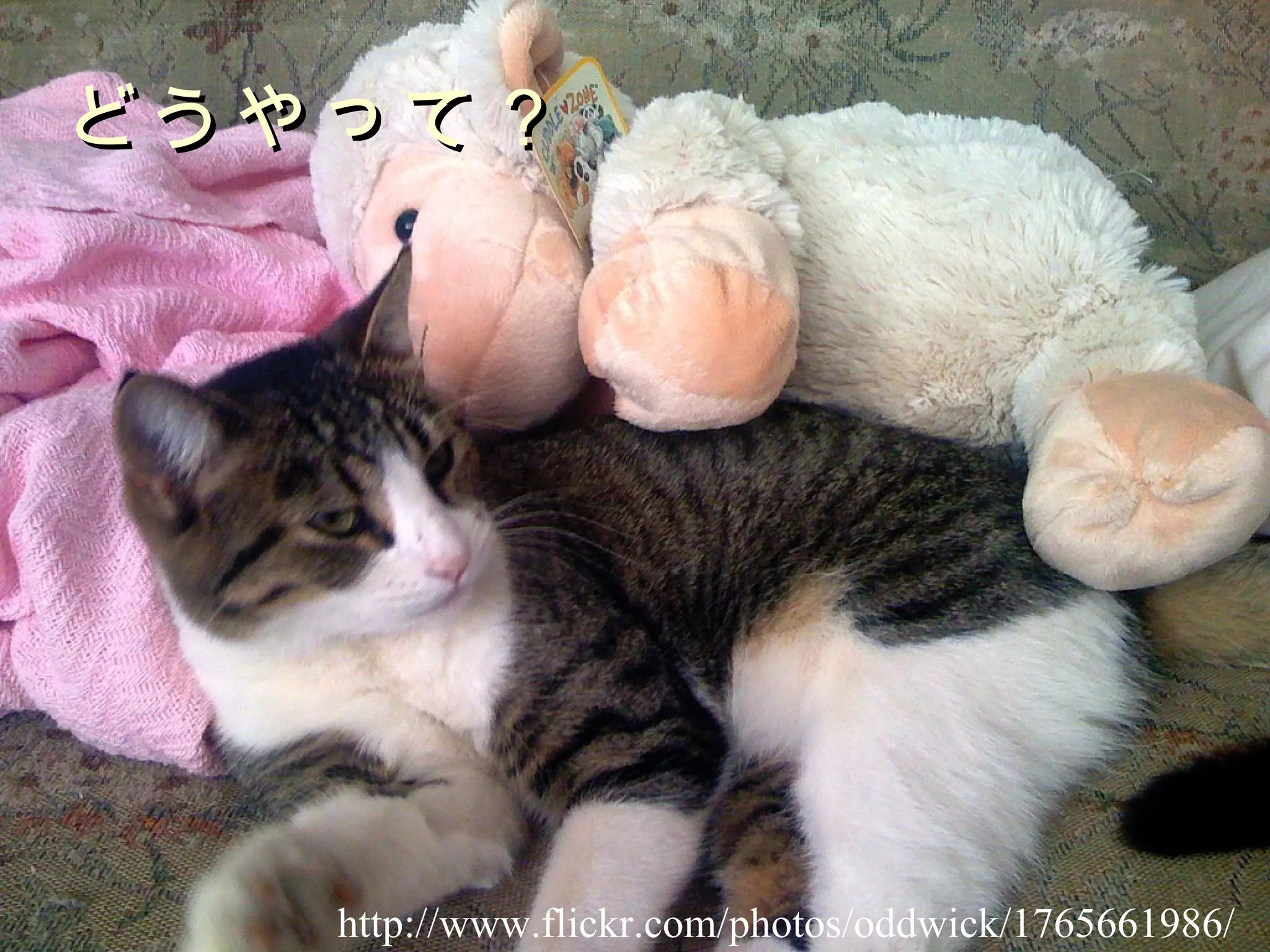 どうやって？ http://www.flickr.com/photos/oddwick/1765661986/ 