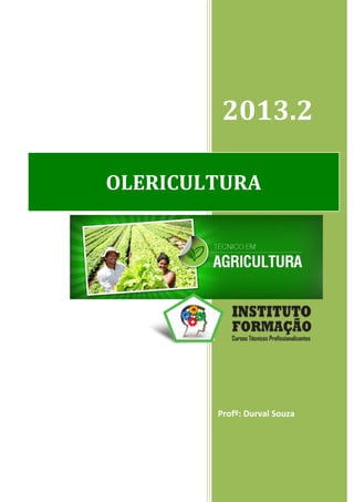 1
2013.2
Profº: Durval Souza
OLERICULTURA
 
