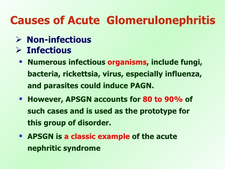 19 Acute Glomerulonephritis