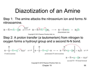 19 - Amines - Wade 7th | PPT