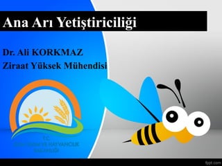 Ana Arı Yetiştiriciliği
Dr. Ali KORKMAZ
Ziraat Yüksek Mühendisi
 