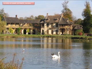 En el siguiente escalón era el agua la que ejercía el
papel más destacado gracias a un gran estanque en
forma de cruz, del cual el brazo dispuesto en el eje
del jardín era el Grand Canal y el transversal, el Petit
Canal. Por ellos navegaba apaciblemente Luis XIV en
las góndolas que le había regalado el Dux de
Venecia.
A los lados había bosques en los que los árboles
crecían en plena libertad aunque con caminos que
señalaban una última intervención de la mano
humana, pues más allá del Gran Canal estaba el
bosque libre como último escalón, aunque ya
propiamente fuera del Parque.
PALACIO
 