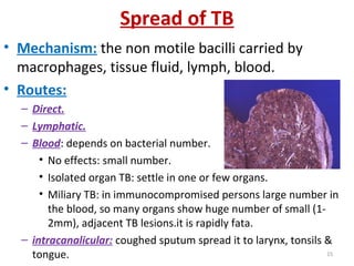 Spread of TB
• Mechanism: the non motile bacilli carried by
macrophages, tissue fluid, lymph, blood.
• Routes:
– Direct.
– Lymphatic.
– Blood: depends on bacterial number.
• No effects: small number.
• Isolated organ TB: settle in one or few organs.
• Miliary TB: in immunocompromised persons large number in
the blood, so many organs show huge number of small (1-
2mm), adjacent TB lesions.it is rapidly fata.
– intracanalicular: coughed sputum spread it to larynx, tonsils &
tongue. 15
 