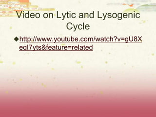 Video on Lytic and Lysogenic
           Cycle
http://www.youtube.com/watch?v=gU8X
 eqI7yts&feature=related
 
