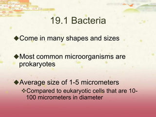 19.1 Bacteria
Come in many shapes and sizes

Most common microorganisms are
  prokaryotes

Average size of 1-5 micrometers
 Compared to eukaryotic cells that are 10-
   100 micrometers in diameter
 