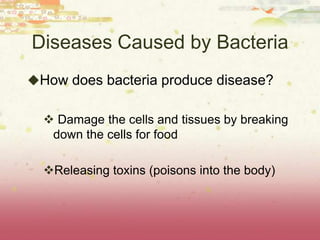 Diseases Caused by Bacteria
How does bacteria produce disease?


   Damage the cells and tissues by breaking
   down the cells for food

  Releasing toxins (poisons into the body)
 