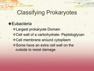 Classifying Prokaryotes
Eubacteria
 Largest prokaryote Domain
 Cell wall of a carbohydrate- Peptidoglycan
 Cell membrane around cytoplasm
 Some have an extra cell wall on the
  outside to resist damage
 