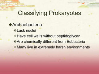 Classifying Prokaryotes
Archaebacteria
 Lack nuclei
 Have cell walls without peptidoglycan
 Are chemically different from Eubacteria
 Many live in extremely harsh environments
 