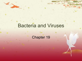 Bacteria and Viruses

      Chapter 19
 