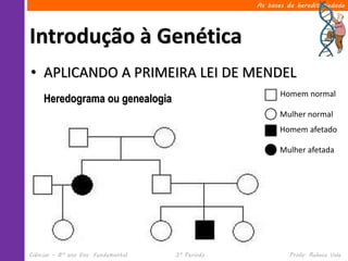Ciências – 8º ano Ens. Fundamental 3º Período Profa. Rebeca Vale
Introdução à Genética
As bases da hereditariedade
• APLICANDO A PRIMEIRA LEI DE MENDEL
Heredograma ou genealogia
Homem normal
Mulher normal
Homem afetado
Mulher afetada
 