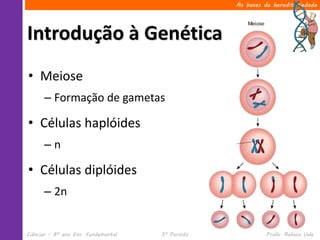 Ciências – 8º ano Ens. Fundamental 3º Período Profa. Rebeca Vale
Introdução à Genética
As bases da hereditariedade
• Meiose
– Formação de gametas
• Células haplóides
– n
• Células diplóides
– 2n
 
