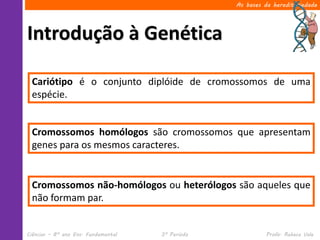 Ciências – 8º ano Ens. Fundamental 3º Período Profa. Rebeca Vale
Introdução à Genética
As bases da hereditariedade
Cariótipo é o conjunto diplóide de cromossomos de uma
espécie.
Cromossomos homólogos são cromossomos que apresentam
genes para os mesmos caracteres.
Cromossomos não-homólogos ou heterólogos são aqueles que
não formam par.
 