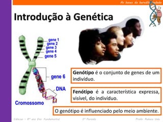Ciências – 8º ano Ens. Fundamental 3º Período Profa. Rebeca Vale
Introdução à Genética
As bases da hereditariedade
Genótipo é o conjunto de genes de um
indivíduo.
Fenótipo é a característica expressa,
visível, do indivíduo.
Cromossomo
DNA
gene 6
gene 5
gene 3
gene 1
gene 2
gene 4
O genótipo é influenciado pelo meio ambiente.
 