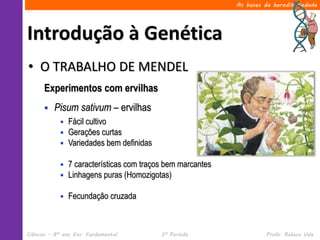 As bases da hereditariedade




Introdução à Genética
• O TRABALHO DE MENDEL
      Experimentos com ervilhas
         Pisum sativum – ervilhas
               Fácil cultivo
               Gerações curtas
               Variedades bem definidas

               7 características com traços bem marcantes
               Linhagens puras (Homozigotas)

               Fecundação cruzada



Ciências – 8º ano Ens. Fundamental         3º Período                  Profa. Rebeca Vale
 
