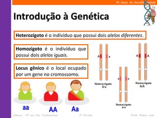 As bases da hereditariedade




Introdução à Genética
  Heterozigoto é o indivíduo que possui dois alelos diferentes.

  Homozigoto é o indivíduo que
  possui dois alelos iguais.

  Locus gênico é o local ocupado
  por um gene no cromossomo.




       aa                  AA        Aa
Ciências – 8º ano Ens. Fundamental        3º Período             Profa. Rebeca Vale
 