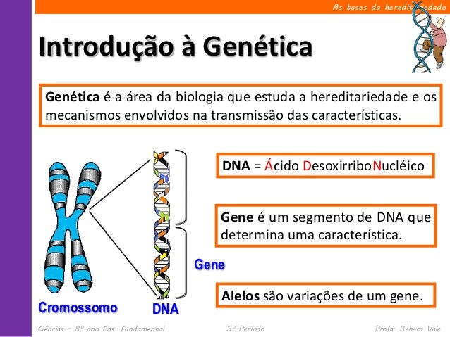 Genetica e hereditariedade resumo