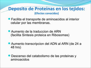 Deposito de Proteinas en los tejidos:
                  (Efectos conocidos)
Facilita el transporte de aminoacidos al interior
 celular por las membranas.

Aumento de la traduccion de ARN
 (facilita Sintesis proteica en Ribosomas)

Aumento transcripcion del ADN al ARN (de 24 a
 48 hrs)

Descenso del catabolismo de las proteinas y
 aminoacidos
 