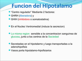 Funcion del Hipotalamo
“Centro regulador” Mediante 2 factores:
GHRH (liberadora) y
GHIH (inhibidora o somatostatina)


En el Nucleo Ventromedial (induce la secrecion)


La misma region sensible a la concentracion sanguinea de
  glucosa, junto a los centros de la Saciedad

Secretadas en el hipotalamo y luego transportadas a la
 adenohipofisis
Vasos porta hipotalamo-hipofisiarios
 