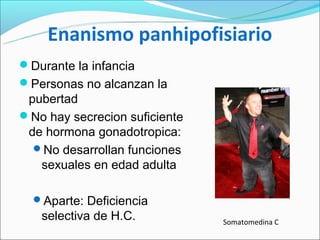 Enanismo panhipofisiario
Durante la infancia
Personas no alcanzan la
 pubertad
No hay secrecion suficiente
 de hormona gonadotropica:
  No desarrollan funciones
   sexuales en edad adulta

  Aparte: Deficiencia
   selectiva de H.C.           Somatomedina C
 