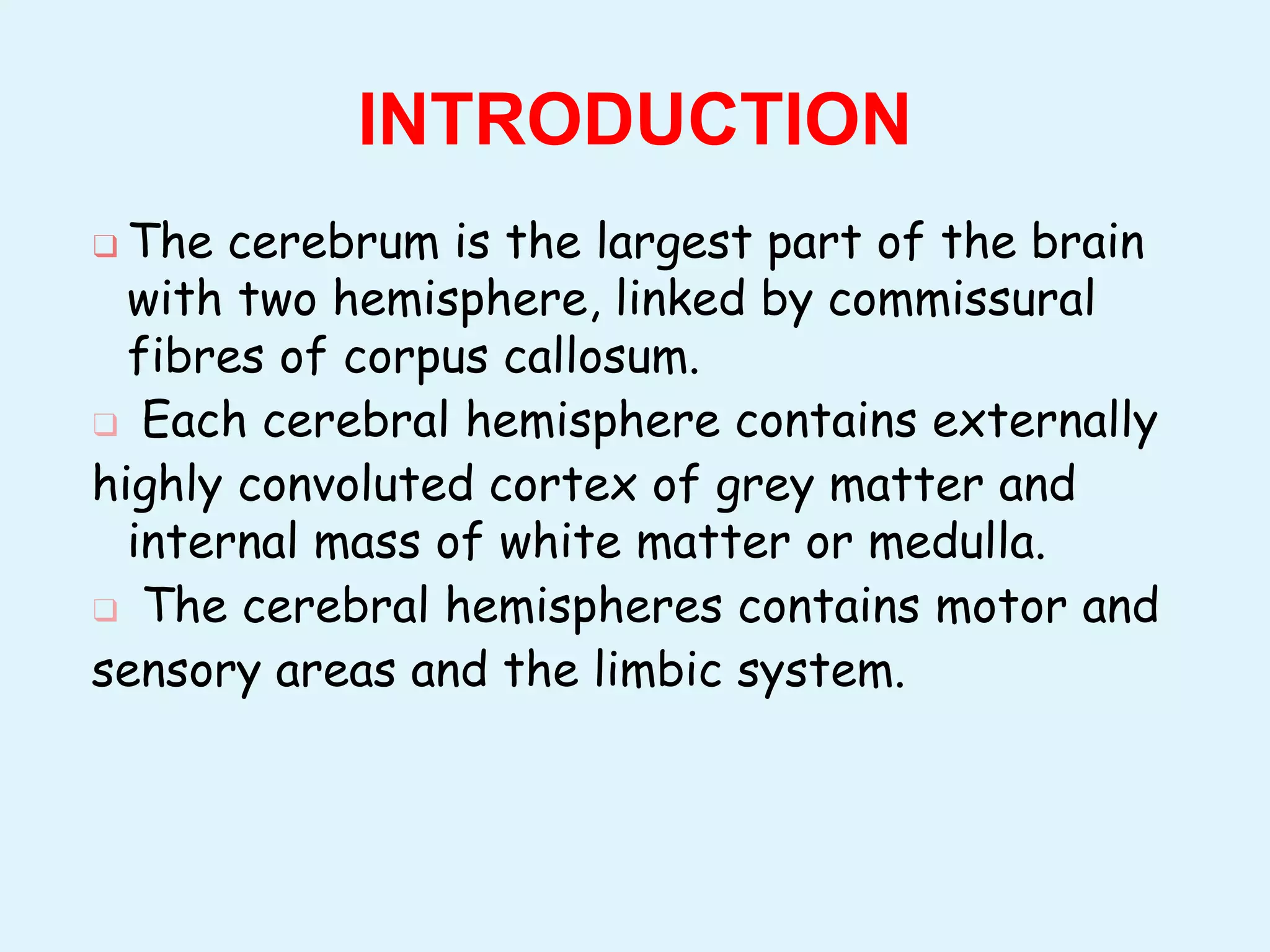 19Cerebral hemisphere functions (1).pptx