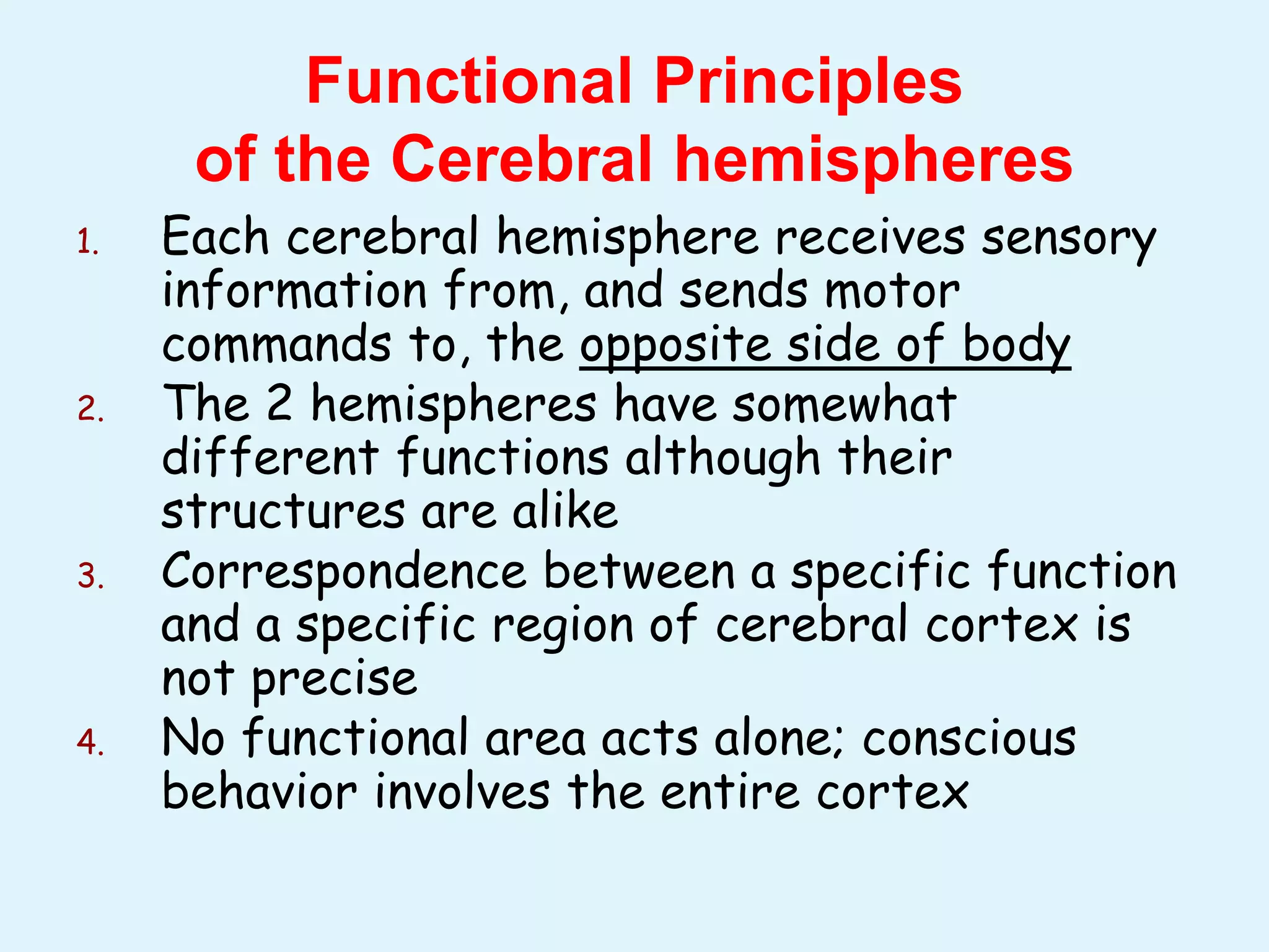19Cerebral hemisphere functions (1).pptx