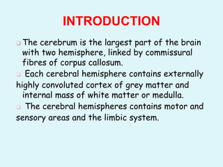 ❑ The cerebrum is the largest part of the brain
with two hemisphere, linked by commissural
fibres of corpus callosum.
❑ Each cerebral hemisphere contains externally
highly convoluted cortex of grey matter and
internal mass of white matter or medulla.
❑ The cerebral hemispheres contains motor and
sensory areas and the limbic system.
INTRODUCTION
 