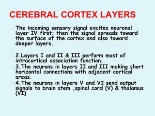 � The incoming sensory signal excites neuronal
layer IV first; then the signal spreads toward
the surface of the cortex and also toward
deeper layers.
� 2.Layers I and II & III perform most of
intracortical association function.
� 3.The neurons in layers II and III making short
horizontal connections with adjacent cortical
areas.
� 4.The neurons in layers V and VI send output
signals to brain stem ,spinal cord (V) & thalamus
(VI)
CEREBRAL CORTEX LAYERS
 