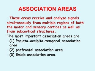 � These areas receive and analyze signals
simultaneously from multiple regions of both
the motor and sensory cortices as well as
from subcortical structures.
The most important association areas are
� (1) Parieto-occipito-temporal association
area
� (2) prefrontal association area
� (3) limbic association area.
ASSOCIATION AREAS
 