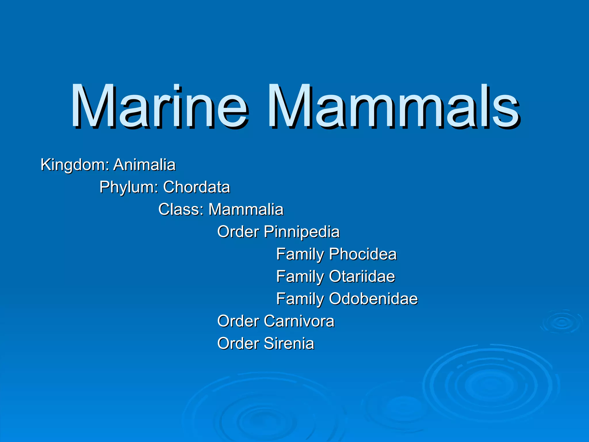 19. Class Mammalia Notes | PPT