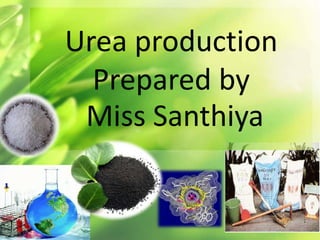 Urea production 
Prepared by 
Miss Santhiya 
 