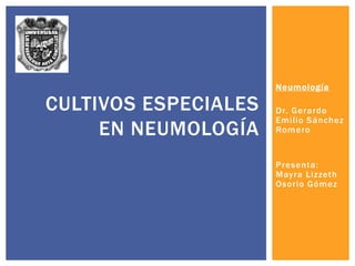 Neumología

CULTIVOS ESPECIALES   Dr. Gerardo
                      Emilio Sánchez
     EN NEUMOLOGÍA    Romero


                      Presenta:
                      Mayra Lizzeth
                      Osorio Gómez
 