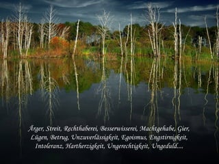 Ärger, Streit, Rechthaberei, Besserwisserei, Machtgehabe, Gier,
Lügen, Betrug, Unzuverlässigkeit, Egoismus, Engstirnigkeit,
Intoleranz, Hartherzigkeit, Ungerechtigkeit, Ungeduld....
 