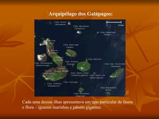 Arquipélago dos Galápagos:
Cada uma dessas ilhas apresentava um tipo particular de fauna
e flora – iguanas marinhas e jabutis gigantes.
 