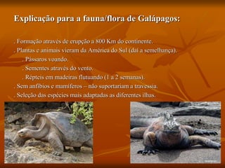 Explicação para a fauna/flora de Galápagos:
. Formação através de erupção a 800 Km do continente.
. Plantas e animais vieram da América do Sul (daí a semelhança).
. Pássaros voando.
. Sementes através do vento.
. Répteis em madeiras flutuando (1 a 2 semanas).
. Sem anfíbios e mamíferos – não suportariam a travessia.
. Seleção das espécies mais adaptadas as diferentes ilhas.
 