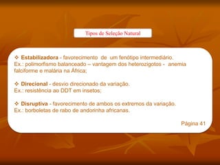 Tipos de Seleção Natural
 Estabilizadora - favorecimento de um fenótipo intermediário.
Ex.: polimorfismo balanceado – vantagem dos heterozigotos - anemia
falciforme e malária na África;
 Direcional - desvio direcionado da variação.
Ex.: resistência ao DDT em insetos;
 Disruptiva - favorecimento de ambos os extremos da variação.
Ex.: borboletas de rabo de andorinha africanas.
Página 41
 