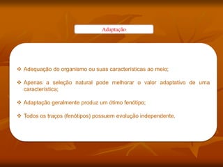 Adaptação
 Adequação do organismo ou suas características ao meio;
 Apenas a seleção natural pode melhorar o valor adaptativo de uma
característica;
 Adaptação geralmente produz um ótimo fenótipo;
 Todos os traços (fenótipos) possuem evolução independente.
 