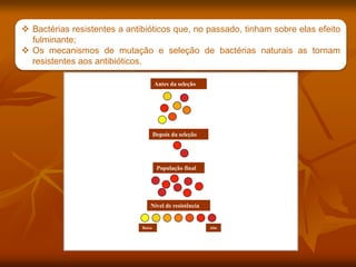  Bactérias resistentes a antibióticos que, no passado, tinham sobre elas efeito
fulminante;
 Os mecanismos de mutação e seleção de bactérias naturais as tornam
resistentes aos antibióticos.
Imagem:
Antibiotic
resistance
/
autor:
Wykis
/
public
domain
Nível de resistência
População final
Depois da seleção
Antes da seleção
Baixo Alto
 