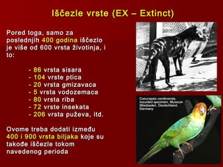 Iščezle vrste (EX – Extinct)Iščezle vrste (EX – Extinct)
Pored toga, samo zaPored toga, samo za
poslednjihposlednjih 400 godina400 godina iščezloiščezlo
je više od 600 vrsta životinja, ije više od 600 vrsta životinja, i
to:to:
- 86- 86 vrsta sisaravrsta sisara
- 104- 104 vrste pticavrste ptica
- 20- 20 vrsta gmizavacavrsta gmizavaca
- 5- 5 vrsta vodozemacavrsta vodozemaca
- 80- 80 vrsta ribavrsta riba
- 72- 72 vrste insekatavrste insekata
- 206- 206 vrsta puževa, itd.vrsta puževa, itd.
Ovome treba dodati izmeđuOvome treba dodati između
400 i 900 vrsta biljaka400 i 900 vrsta biljaka koje sukoje su
takođe iščezle tokomtakođe iščezle tokom
navedenog periodanavedenog perioda
 