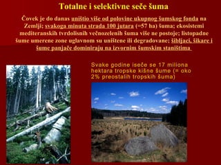 Totalne i selektivne seče šuma
Svake godine iseče se 17 milionaSvake godine iseče se 17 miliona
hektara tropske kišne šume (= okohektara tropske kišne šume (= oko
2% preostalih tropskih šuma)2% preostalih tropskih šuma)
Čovek je do danas uništio više od polovine ukupnog šumskog fonda na
Zemlji; svakoga minuta strada 100 jutara (=57 ha) šuma; ekosistemi
mediteranskih tvrdolisnih večnozelenih šuma više ne postoje; listopadne
šume umerene zone uglavnom su uništene ili degradovane; šibljaci, šikare i
šume panjače dominiraju na izvornim šumskim staništima
 