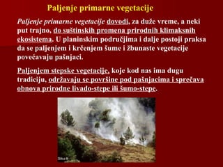 Paljenje primarne vegetacije dovodi, za duže vreme, a neki
put trajno, do suštinskih promena prirodnih klimaksnih
ekosistema. U planinskim područjima i dalje postoji praksa
da se paljenjem i krčenjem šume i žbunaste vegetacije
povećavaju pašnjaci.
Paljenjem stepske vegetacije, koje kod nas ima dugu
tradiciju, održavaju se površine pod pašnjacima i sprečava
obnova prirodne livado-stepe ili šumo-stepe.
Paljenje primarne vegetacije
 