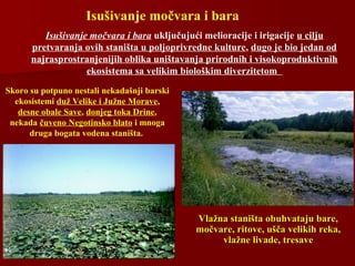 Isušivanje močvara i bara uključujući melioracije i irigacije u cilju
pretvaranja ovih staništa u poljoprivredne kulture, dugo je bio jedan od
najrasprostranjenijih oblika uništavanja prirodnih i visokoproduktivnih
ekosistema sa velikim biološkim diverzitetom
Isušivanje močvara i bara
Vlažna staništa obuhvataju bare,Vlažna staništa obuhvataju bare,
močvare, ritove, ušča velikih reka,močvare, ritove, ušča velikih reka,
vlažne livade, tresavevlažne livade, tresave
Skoro su potpuno nestali nekadašnji barski
ekosistemi duž Velike i Južne Morave,
desne obale Save, donjeg toka Drine,
nekada čuveno Negotinsko blato i mnoga
druga bogata vodena staništa.
 