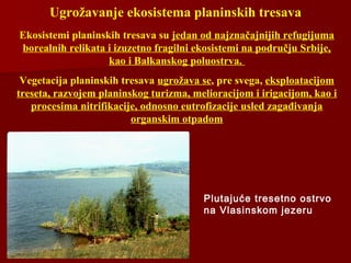 Ugrožavanje ekosistema planinskih tresava
Ekosistemi planinskih tresava su jedan od najznačajnijih refugijuma
borealnih relikata i izuzetno fragilni ekosistemi na području Srbije,
kao i Balkanskog poluostrva.
Vegetacija planinskih tresava ugrožava se, pre svega, eksploatacijom
treseta, razvojem planinskog turizma, melioracijom i irigacijom, kao i
procesima nitrifikacije, odnosno eutrofizacije usled zagađivanja
organskim otpadom
Plutajuće tresetno ostrvo
na Vlasinskom jezeru
 