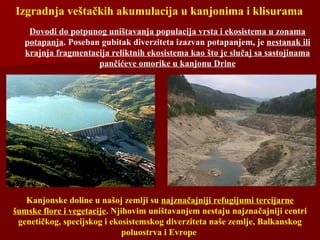 Izgradnja veštačkih akumulacija u kanjonima i klisurama
Dovodi do potpunog uništavanja populacija vrsta i ekosistema u zonama
potapanja. Poseban gubitak diverziteta izazvan potapanjem, je nestanak ili
krajnja fragmentacija reliktnih ekosistema kao što je slučaj sa sastojinama
pančićeve omorike u kanjonu Drine
Kanjonske doline u našoj zemlji su najznačajniji refugijumi tercijarne
šumske flore i vegetacije. Njihovim uništavanjem nestaju najznačajniji centri
genetičkog, specijskog i ekosistemskog diverziteta naše zemlje, Balkanskog
poluostrva i Evrope
 