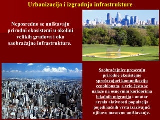 Urbanizacija i izgradnja infrastrukture
Neposredno se uništavaju
prirodni ekosistemi u okolini
velikih gradova i oko
saobraćajne infrastrukture.
Saobraćajnice presecaju
prirodne ekosisteme
sprečavajući komunikaciju
cenobionata, a vrlo često se
nalaze na osnovnim koridorima
lokalnih migracija i unutar
areala aktivnosti populacija
pojedinačnih vrsta izazivajući
njihovo masovno uništavanje.
 