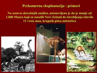 Prekomerna eksploatacija - primeriPrekomerna eksploatacija - primeri
Na osnovu skorašnjih analiza, ustanovljeno je da je manje odNa osnovu skorašnjih analiza, ustanovljeno je da je manje od
1.000 Maora koji su naselili Novi Zeland do istrebljenja izlovilo1.000 Maora koji su naselili Novi Zeland do istrebljenja izlovilo
11 vrsta moa, krupnih ptica neletačica11 vrsta moa, krupnih ptica neletačica
 