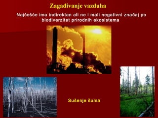 Zagađivanje vazduha
Najčešće ima indirektan ali ne i mali negativni značaj po
biodiverzitet prirodnih ekosistema
Sušenje šuma
 