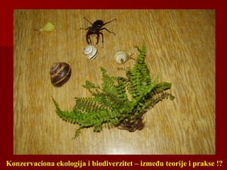Konzervaciona ekologija i biodiverzitet – između teorije i prakse !?
 